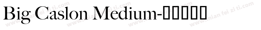 Big Caslon Medium字体转换